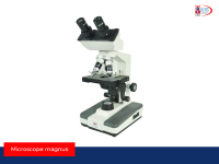 Microscope Magnus binoculaire